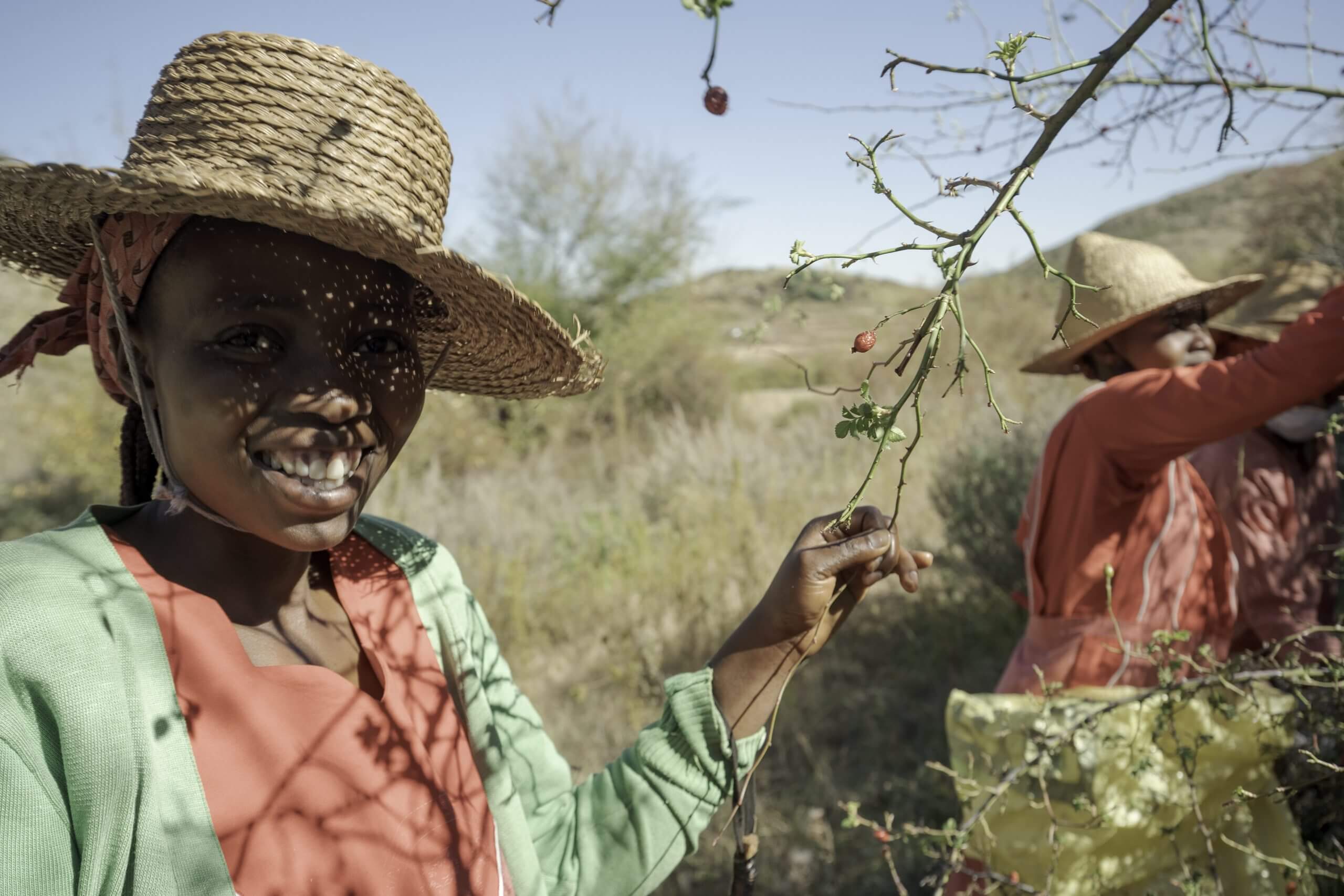 Lesotho Image